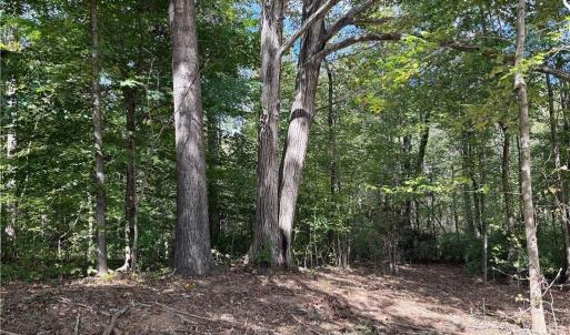 Photo #16 of Lot 5 Zeb Ferguson, Siler City, NC 5.6 acres