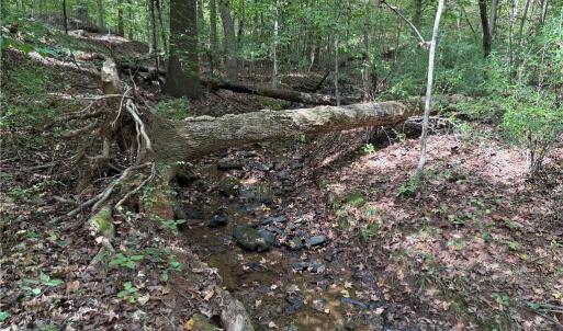 Photo #26 of Lot 5 Zeb Ferguson, Siler City, NC 5.6 acres
