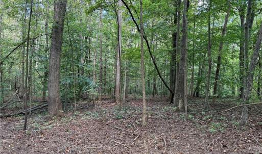 Photo #22 of Lot 5 Zeb Ferguson, Siler City, NC 5.6 acres