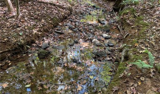 Photo #28 of Lot 5 Zeb Ferguson, Siler City, NC 5.6 acres