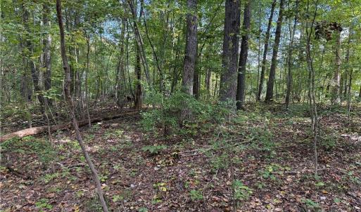 Photo #20 of Lot 5 Zeb Ferguson, Siler City, NC 5.6 acres