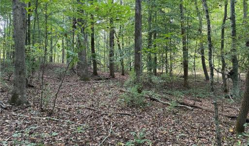 Photo #24 of Lot 5 Zeb Ferguson, Siler City, NC 5.6 acres