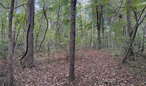 Photo #18 of Lot 5 Zeb Ferguson, Siler City, NC 5.6 acres