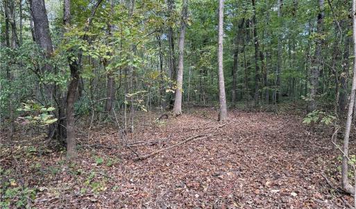 Photo #19 of Lot 5 Zeb Ferguson, Siler City, NC 5.6 acres