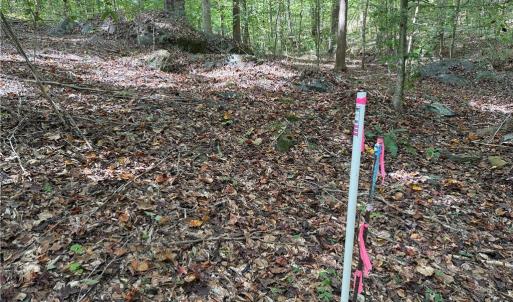 Photo #29 of Lot 5 Zeb Ferguson, Siler City, NC 5.6 acres