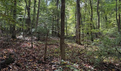 Photo #25 of Lot 5 Zeb Ferguson, Siler City, NC 5.6 acres