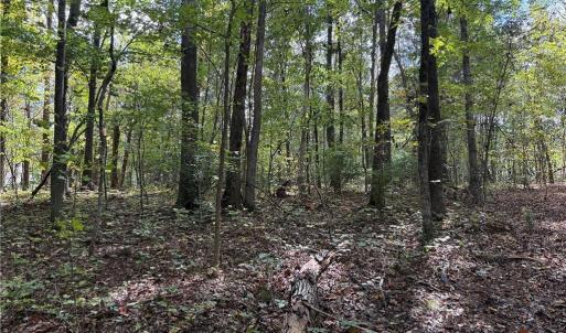 Photo #21 of Lot 5 Zeb Ferguson, Siler City, NC 5.6 acres