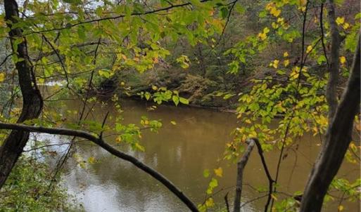 A view from the Old Path along the Dan River