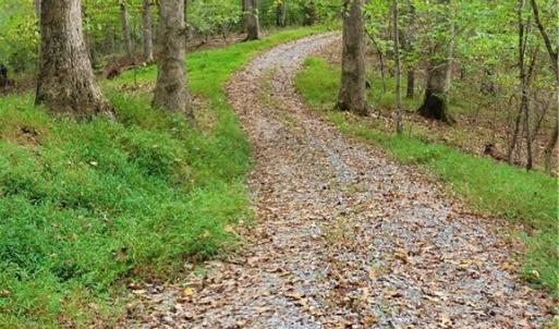The Main Road through the propert