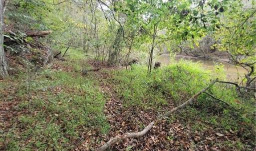 The Old Path along the Dan River