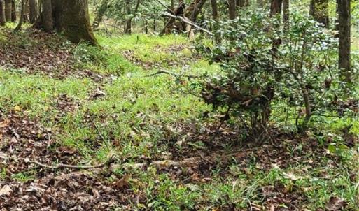 One of the old Paths