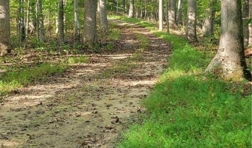 Main Road at the Building Site