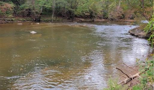 The Dan River on the Property