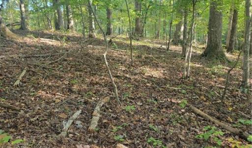 Building Site with Septic Permit