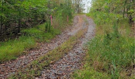 The Lower Road Known as the Utility Easement Property runs along the road See the  Pink Flagging