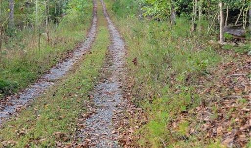The Lower Road known as the Utility Easement