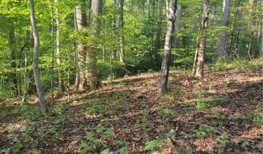 Building Site with Septic Permit