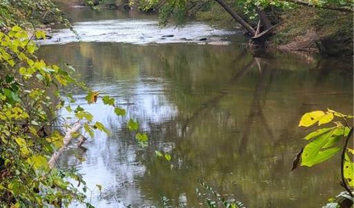 More of the River