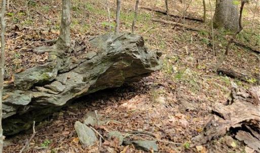 Really nice Rock Outcrops in the woods