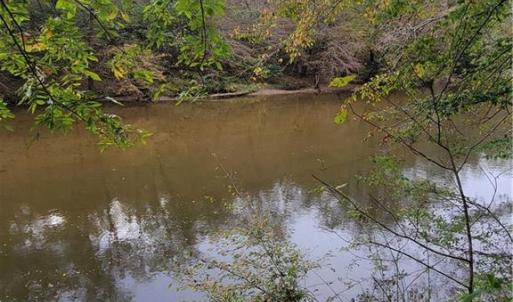 The Peaceful Dan River