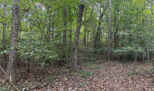 Photo #23 of Lot 4 Zeb Ferguson, Siler City, NC 5.5 acres