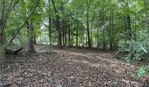 Photo #27 of Lot 4 Zeb Ferguson, Siler City, NC 5.5 acres