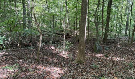 Photo #12 of Lot 4 Zeb Ferguson, Siler City, NC 5.5 acres