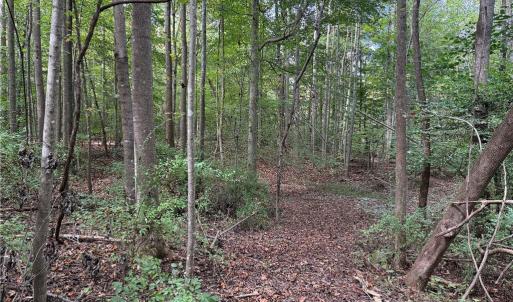 Photo #26 of Lot 4 Zeb Ferguson, Siler City, NC 5.5 acres