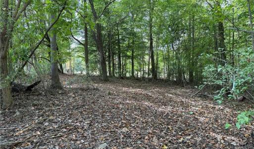 Photo #28 of Lot 4 Zeb Ferguson, Siler City, NC 5.5 acres