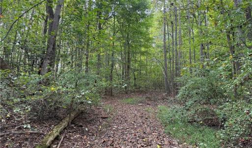 Photo #24 of Lot 4 Zeb Ferguson, Siler City, NC 5.5 acres
