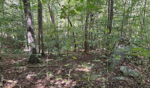Photo #18 of Lot 4 Zeb Ferguson, Siler City, NC 5.5 acres