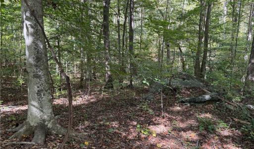 Photo #19 of Lot 4 Zeb Ferguson, Siler City, NC 5.5 acres