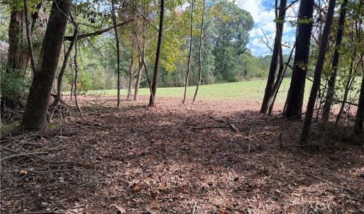 Photo #29 of Lot 4 Zeb Ferguson, Siler City, NC 5.5 acres
