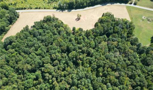 Photo #4 of Lot 4 Zeb Ferguson, Siler City, NC 5.5 acres