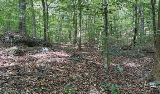 Photo #8 of Lot 4 Zeb Ferguson, Siler City, NC 5.5 acres