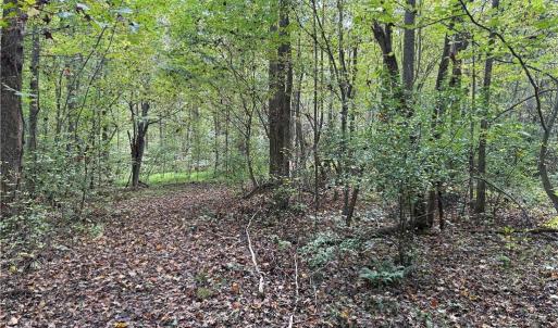 Photo #21 of Lot 4 Zeb Ferguson, Siler City, NC 5.5 acres