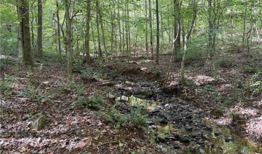 Photo #13 of 457 Zeb Ferguson, Siler City, NC 5.5 acres