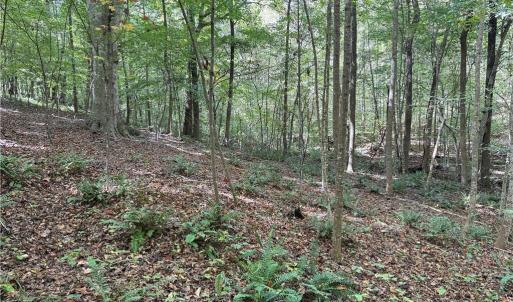 Photo #17 of 457 Zeb Ferguson, Siler City, NC 5.5 acres