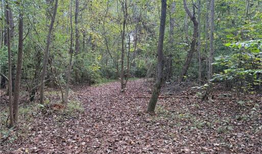 Photo #22 of 457 Zeb Ferguson, Siler City, NC 5.5 acres