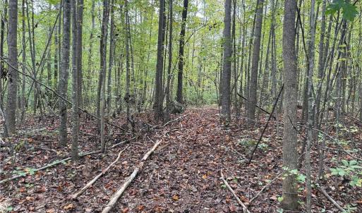 Photo #20 of 457 Zeb Ferguson, Siler City, NC 5.5 acres