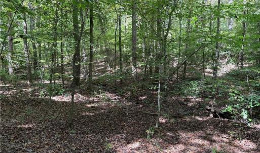Photo #11 of 457 Zeb Ferguson, Siler City, NC 5.5 acres