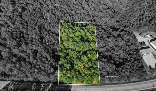 Photo #9 of NC Highway 86, Yanceyville, NC 7.0 acres