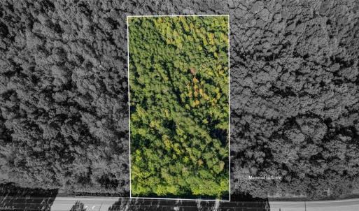 Photo #11 of NC Highway 86, Yanceyville, NC 7.0 acres