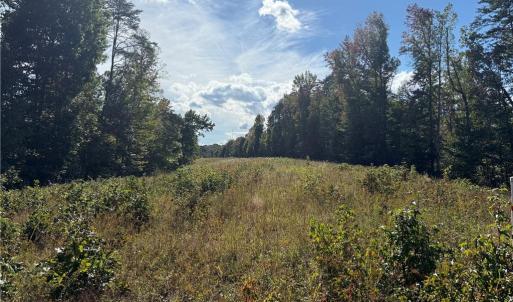 Photo #13 of Almond, Reidsville, NC 30.4 acres