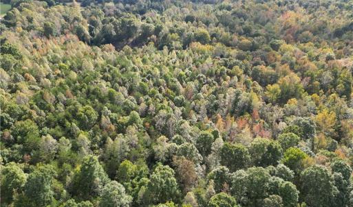 Photo #16 of Almond, Reidsville, NC 30.4 acres