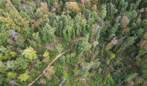 Photo #26 of Almond, Reidsville, NC 30.4 acres