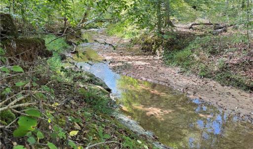 Photo #7 of Almond, Reidsville, NC 30.4 acres