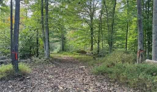 Photo #3 of Almond, Reidsville, NC 30.4 acres