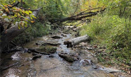 Photo #1 of Almond, Reidsville, NC 30.4 acres