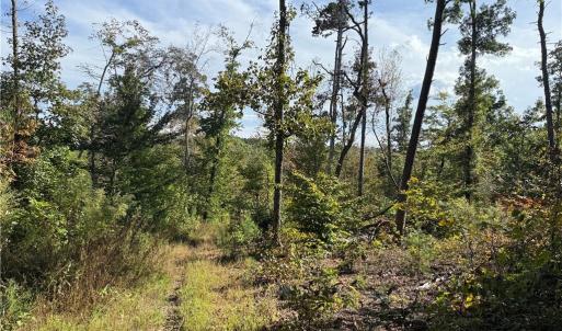 Photo #5 of Almond, Reidsville, NC 30.4 acres